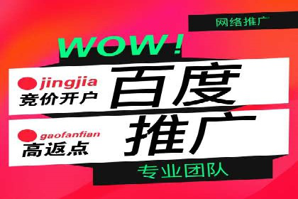 百度推广运营策略解析及成功案例分享